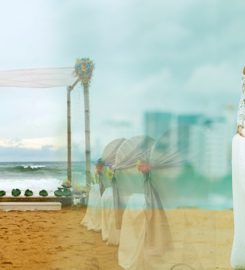 Blueprint A 2 Z / THE WEDDING ANGEL